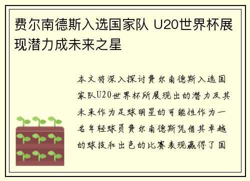 费尔南德斯入选国家队 U20世界杯展现潜力成未来之星