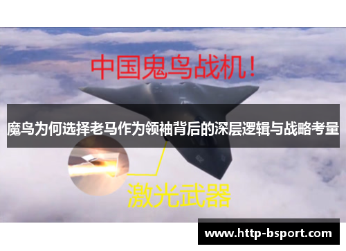 魔鸟为何选择老马作为领袖背后的深层逻辑与战略考量